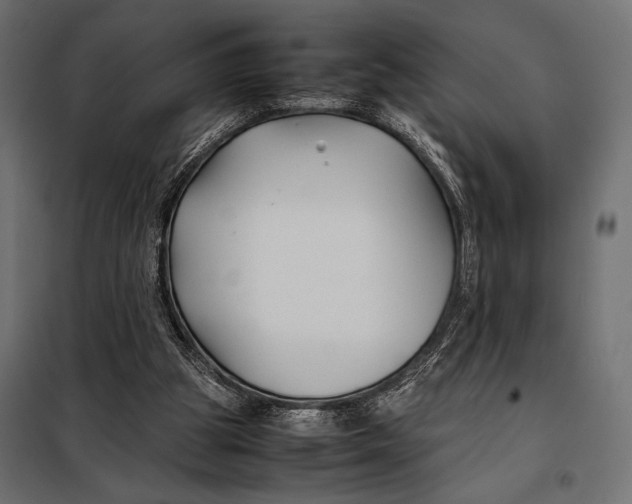 X0000098080153200804251521