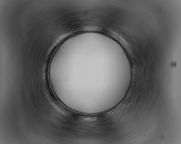 X0000098080155200804251521