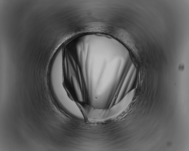 X0000098080156200804251521