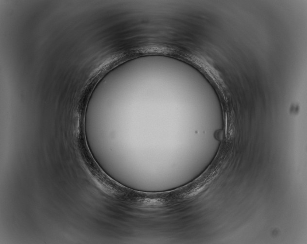 X0000098080157200804251521