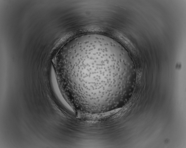 X0000098080158200804251521