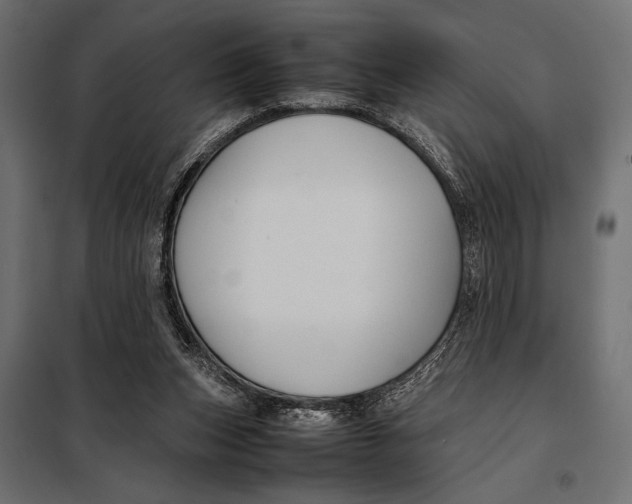 X0000098080159200804251521