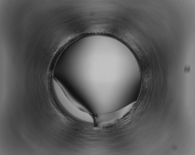 X0000098080160200804251521