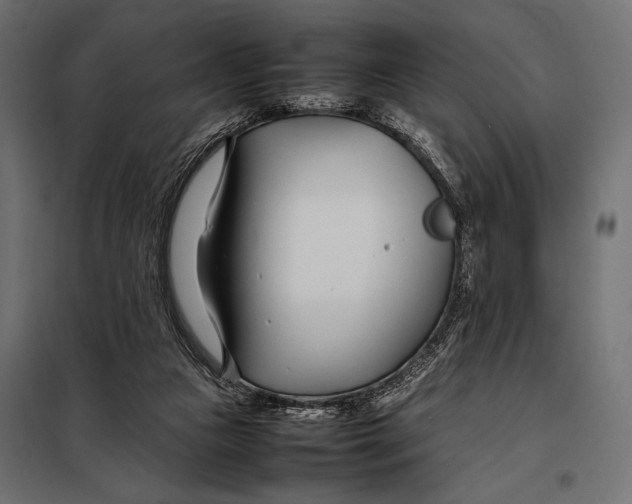 X0000098080161200804251521