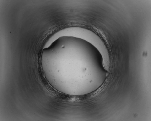 X0000098080162200804251521