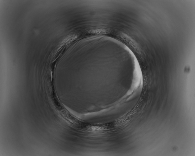 X0000098080163200804251521