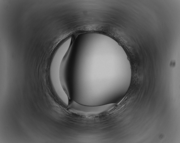 X0000098080164200804251521