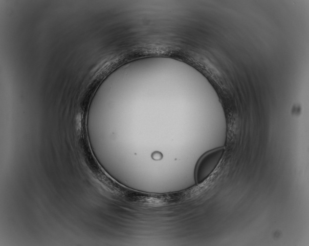 X0000098080166200804251521