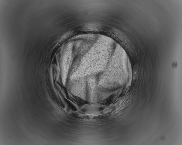 X0000098080168200804251521