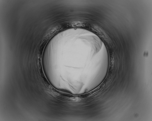 X0000098080169200804251521