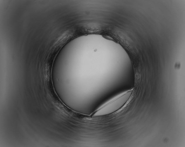 X0000098080170200804251521