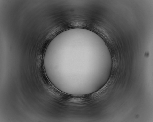 X0000098080171200804251521