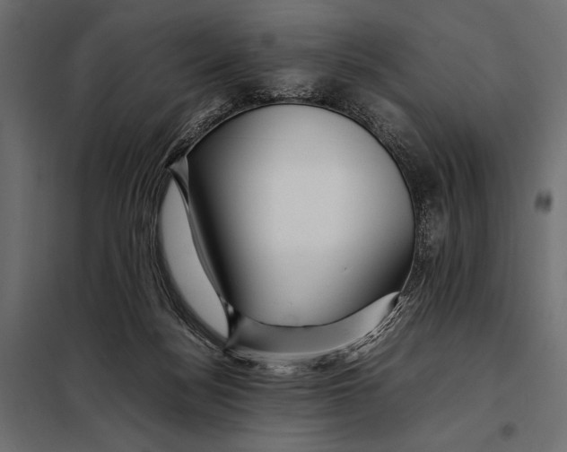 X0000098080172200804251521