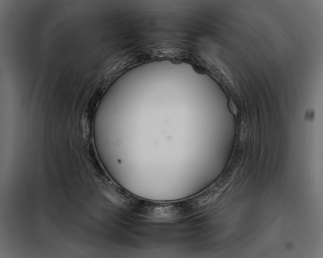 X0000098080173200804251521