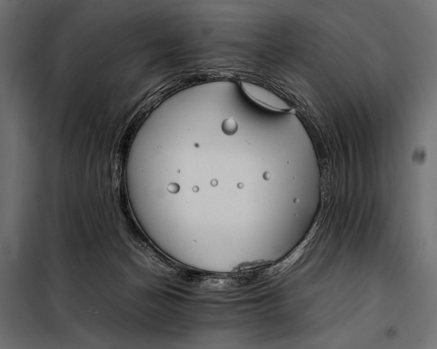 X0000098080174200804251521