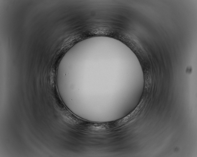 X0000098080175200804251521