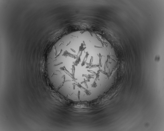 X0000098080177200804251521