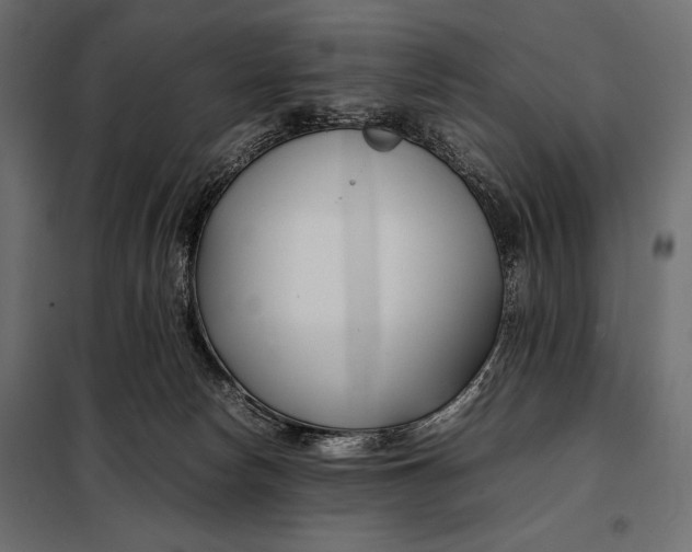 X0000098080178200804251521