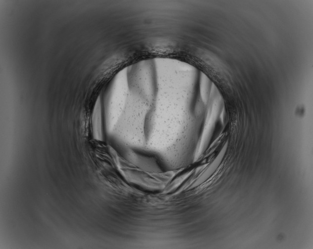 X0000098080180200804251522