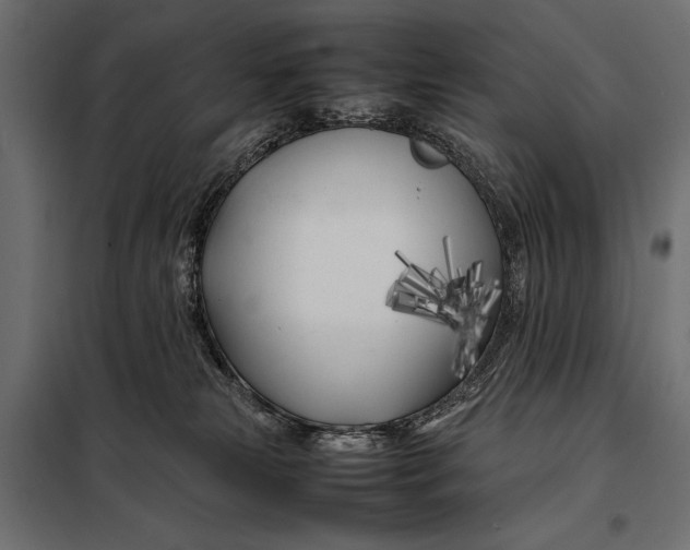 X0000098080181200804251522