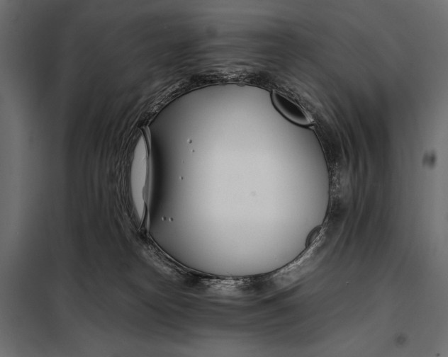 X0000098080182200804251522