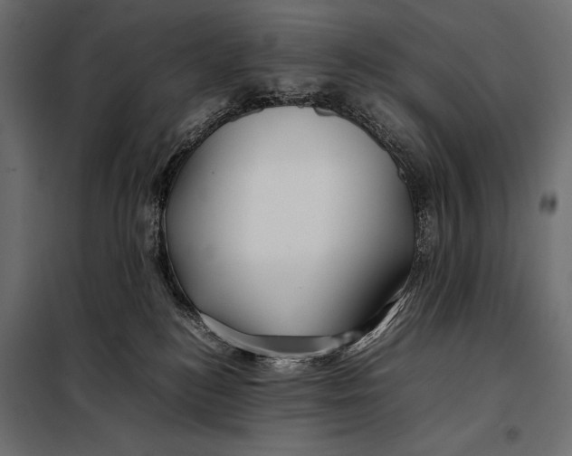 X0000098080184200804251522