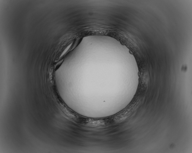 X0000098080185200804251522