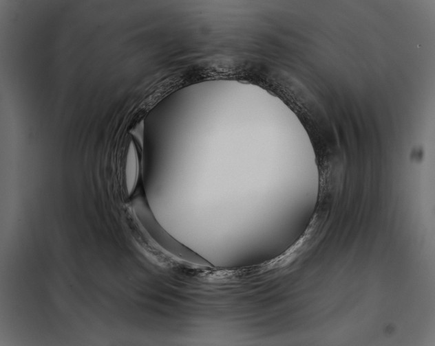 X0000098080186200804251522