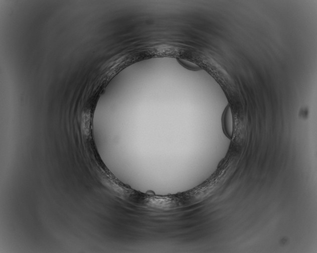 X0000098080189200804251522