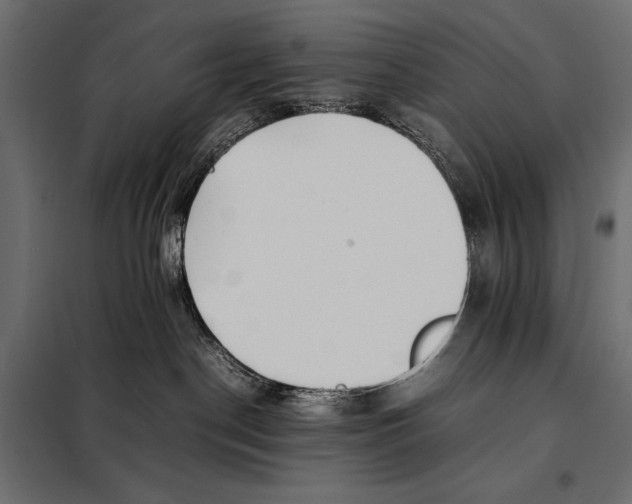 X0000098080190200804251522