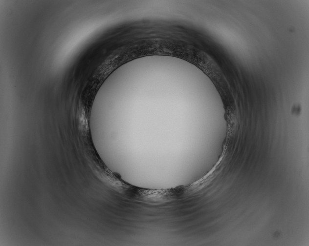 X0000098080191200804251522