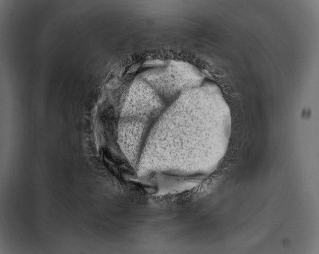 X0000098080192200804251522