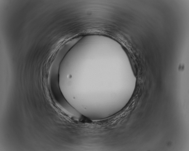 X0000098080193200804251521