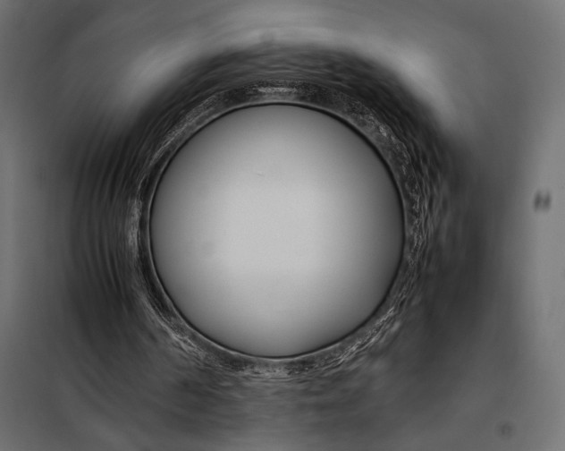 X0000098080194200804251521