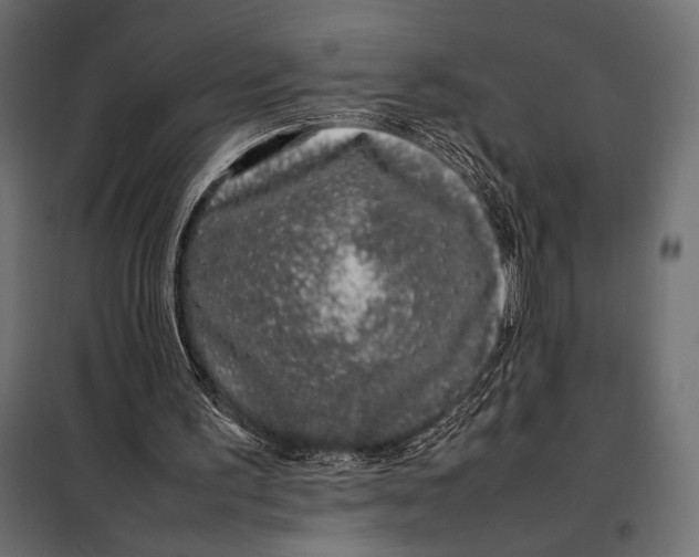 X0000098080195200804251521