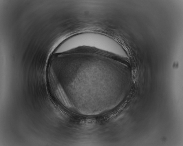 X0000098080196200804251521