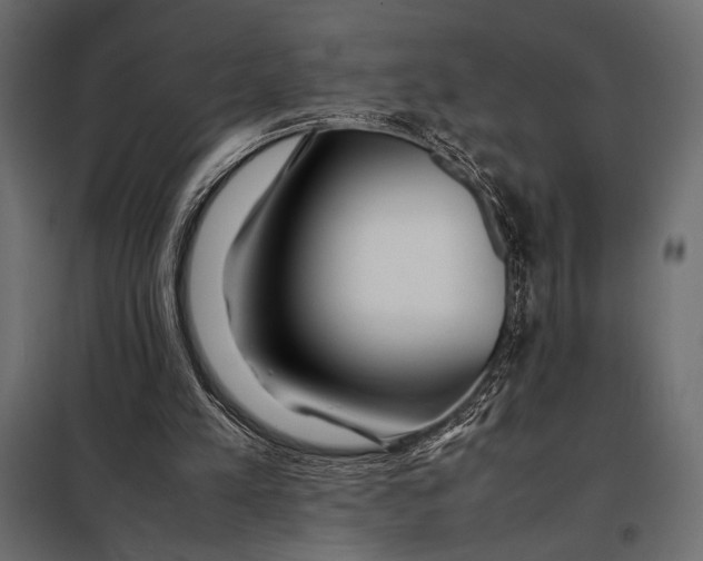 X0000098080197200804251521