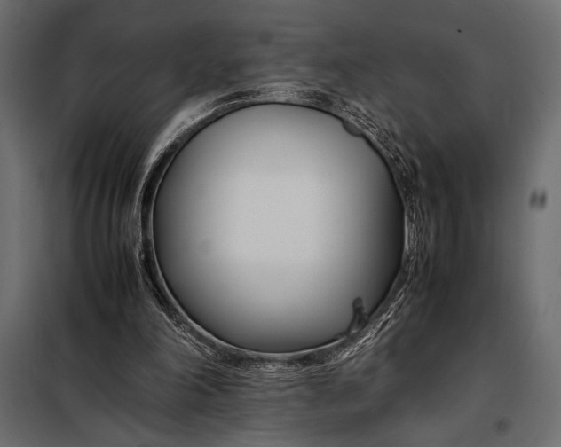 X0000098080198200804251521