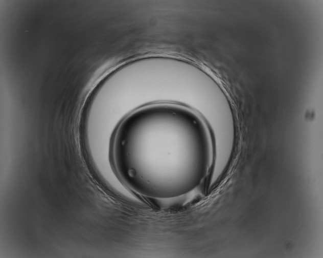 X0000098080199200804251521