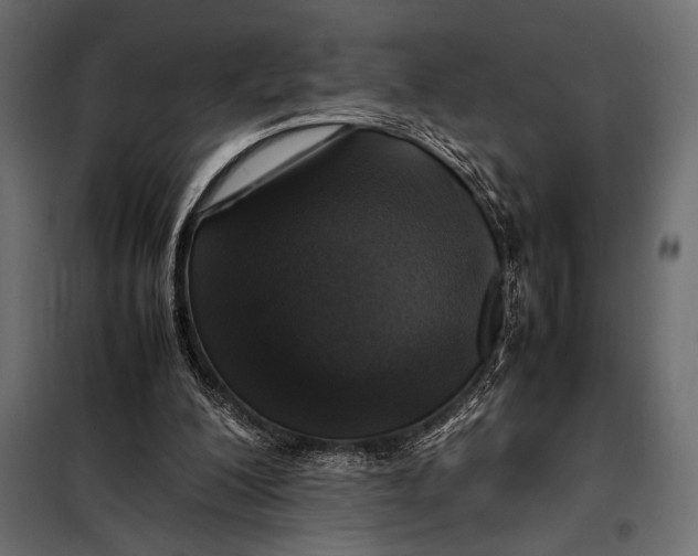 X0000098080200200804251521