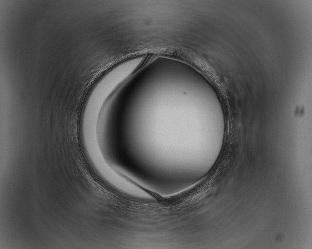 X0000098080201200804251521