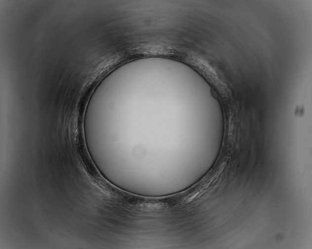 X0000098080202200804251521