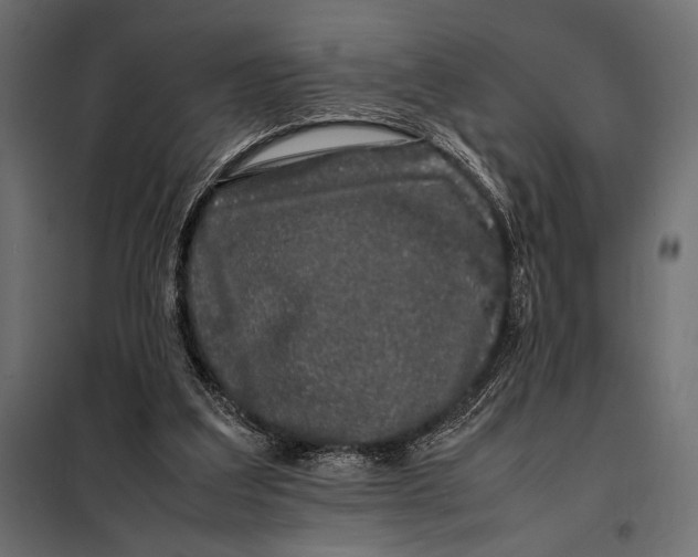 X0000098080203200804251521