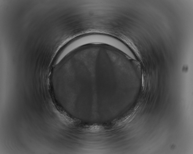 X0000098080204200804251521