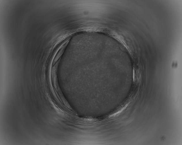 X0000098080205200804251521