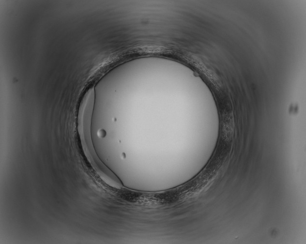 X0000098080207200804251521