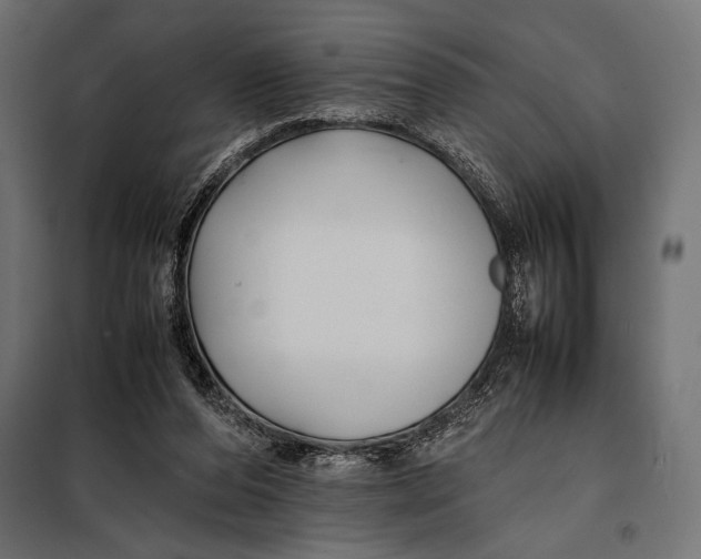 X0000098080208200804251521