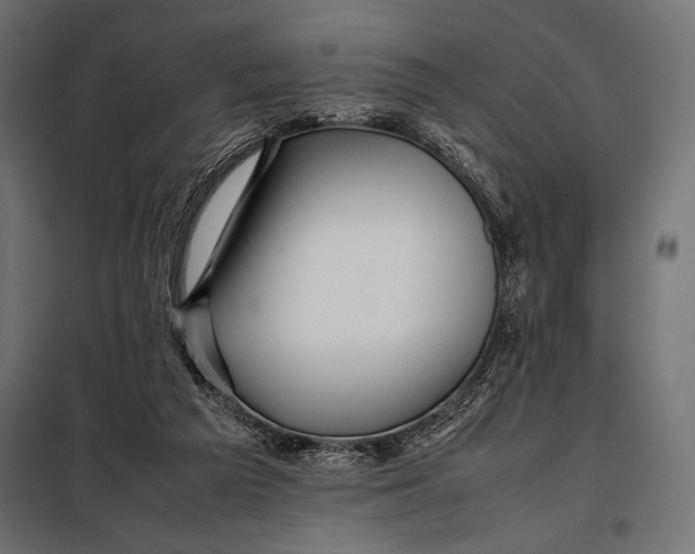 X0000098080209200804251521