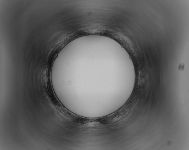 X0000098080210200804251521