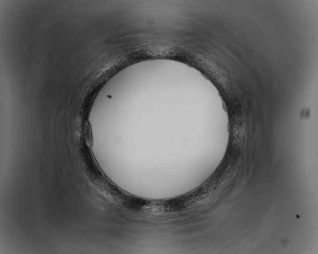 X0000098080211200804251521